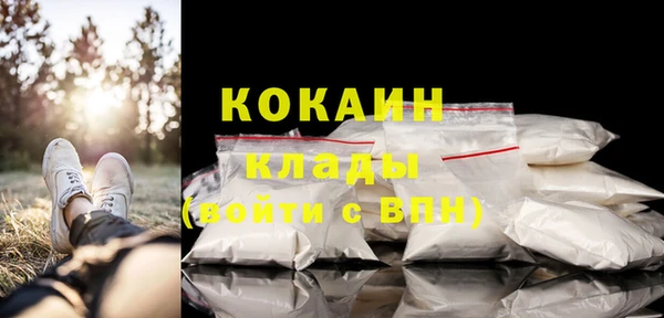 спиды Алзамай