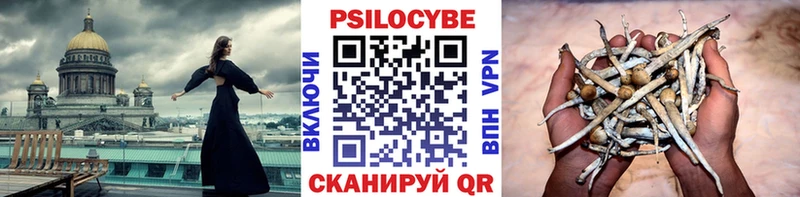 кракен ONION Ленинск-Кузнецкий Псилоцибиновые грибы мицелий это состав хочу